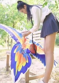 [Fairy Club妖精社]视频 H2124《思文-放风筝》[1V／426MB]